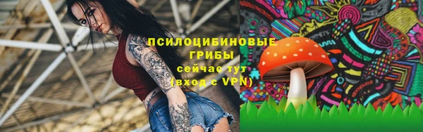 прущая мука Надым