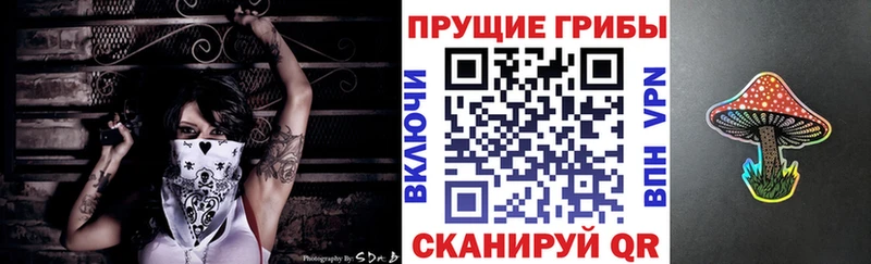 Псилоцибиновые грибы ЛСД мега ссылки дарк нет формула Новомичуринск